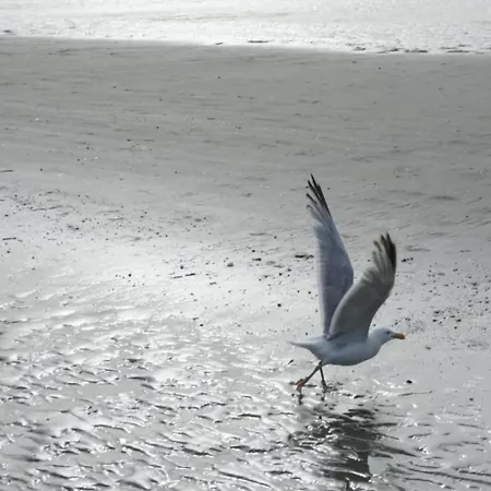 In Near The Sea, Cleaning Included Apartamento Koksijde