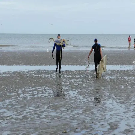 In Near The Sea, Cleaning Included *