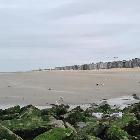 Apartment In For 6 Person, Cleaning Included Koksijde