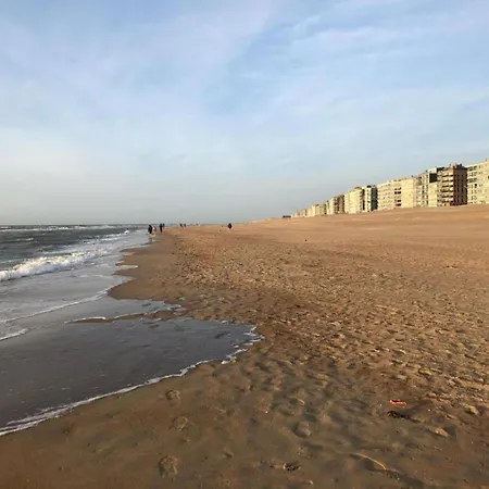 In Near The Sea, Cleaning Included 코크시데